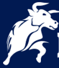 BlackBull Markets Broker - Assets: Forex Pairs, Indices, Commodities, Metals, Cryptos